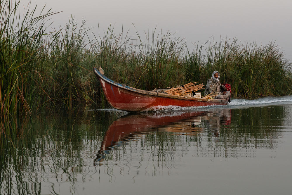 Drought and extreme temperatures that scientists link to climate change are changing the habitat and a way of life in Iraq's marshes.