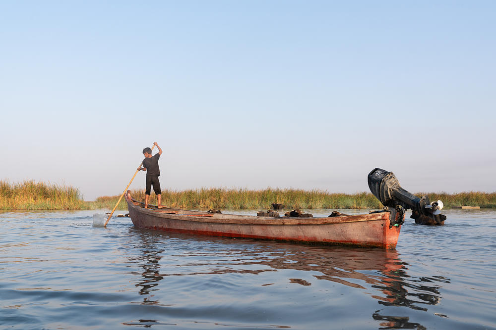A boy paddles a boat in the marshes. Reduced river flows have caused saltwater currents from the Persian Gulf to intrude further upstream, tainting the freshwater of Iraq's protected marshlands.