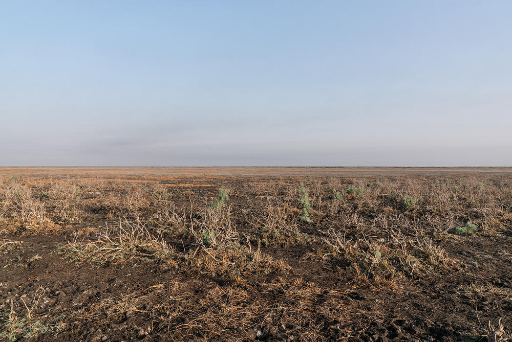 U.N. experts say Iraq is losing some 155 miles of arable land every year to desertification and soil erosion.