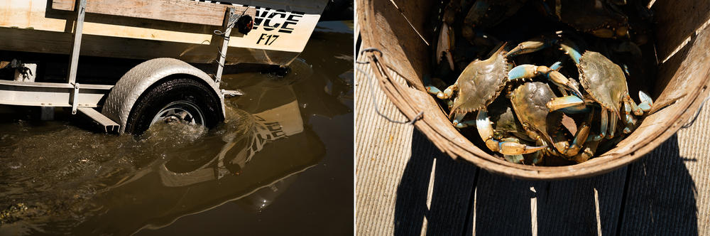 Climate change has impacted fishermen's capacity and schedule for harvesting seafood along the South Carolina coast.