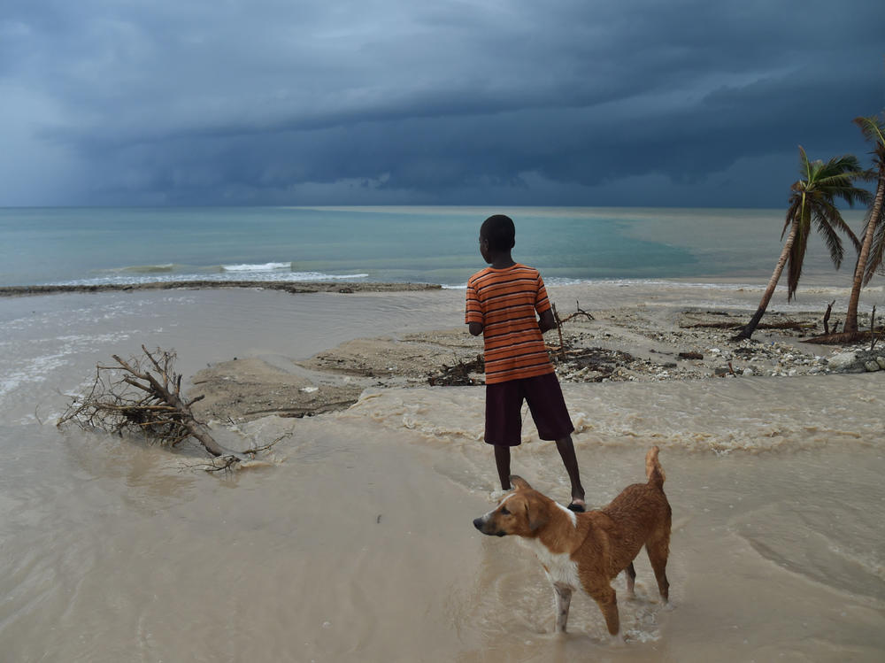 A child and a dog run along a beach in Haiti, from where health workers appear to have contracted a new coronavirus. Around the world, in Malaysia, a similar coronavirus has been found — apparently being passed to humans from dogs.