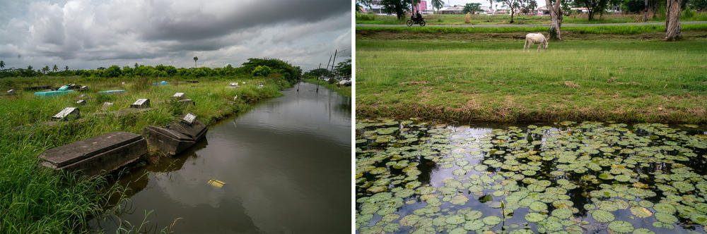 Most of Guyana's population lives below sea level, making water is a part of daily life. In Georgetown, waterways, which frequently overflow, crisscross the city.