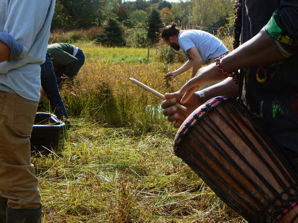 Volunteers at work at the Ever Growing Family Farm.