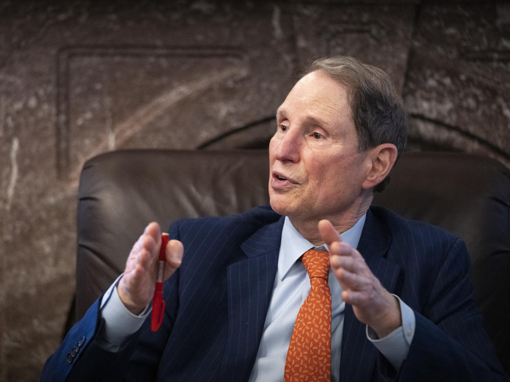 Sen. Ron Wyden, D-Ore., has been fueding with Tesla CEO Elon Musk over the senator's proposal to tax stock investments held by billionaires annually.