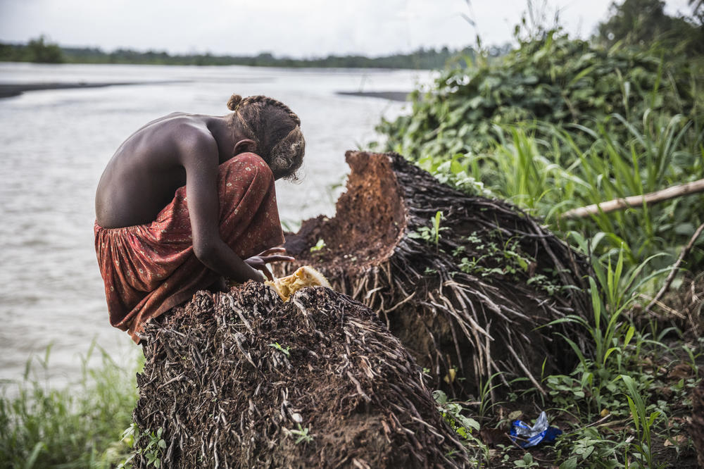 Elva, 10, sits on a dead coconut tree near Tina River in Niu Birao village, Solomon Islands.