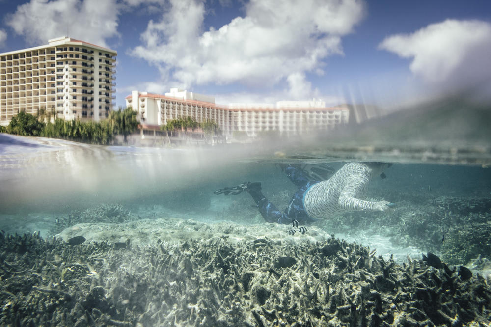 Roxanna Miller, a monitoring technician of the University of Guam Marine Lab, inspects staghorn coral that suffered a severe coral bleaching event in 2013 and 2014.