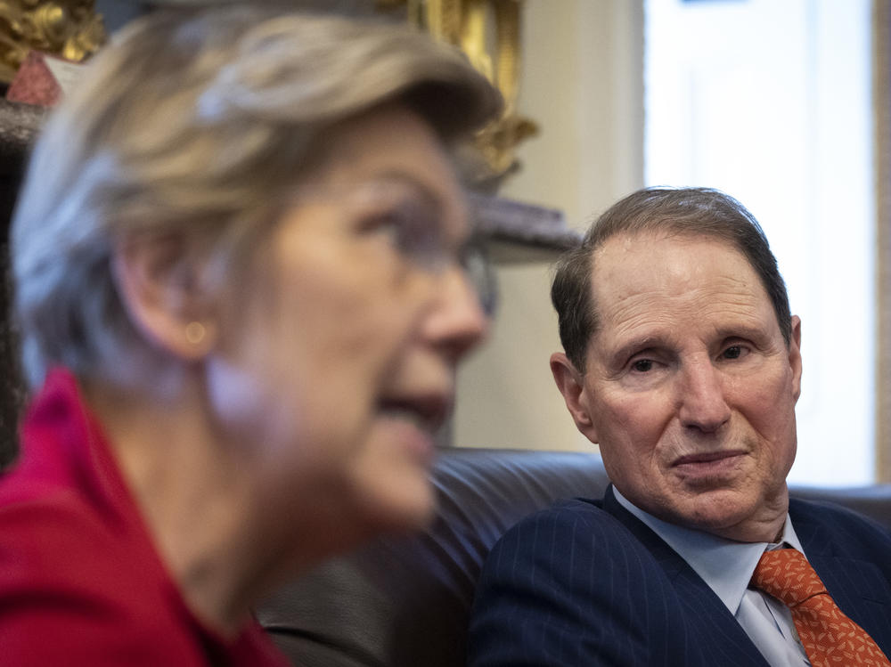 Sens. Elizabeth Warren, D-Mass., and Ron Wyden, D-Or.,  speak to reporters about a corporate minimum tax plan at the U.S. Capitol in Washington, D.C. on Oct. 26. Wyden and Warren are among progressives who are calling for higher taxes for the wealthy.