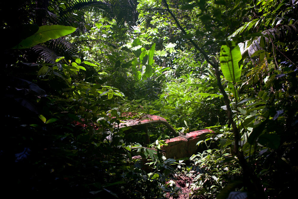 A Corvair stuck in the Darién Gap, its chassis can still be seen rusting in the jungle enveloped by trees and vines.