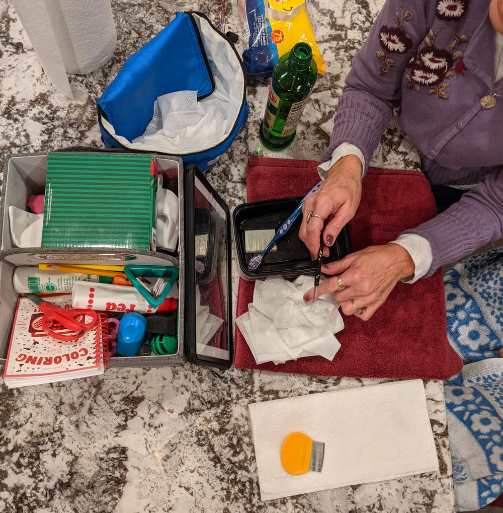 Professional delouser Linda Holmes' tools of choice for nitpicking her customers' heads are extra-virgin olive oil and a set of fine-toothed combs. Other methods involve tools that run the gamut from special gels to devices that heat the head at a temperature thought to kill louse eggs.