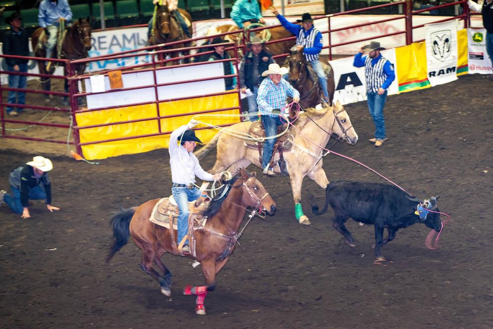 Team ropers compete at the Adirondack Stampede.
