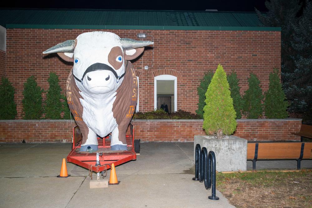 A large cow that reads 