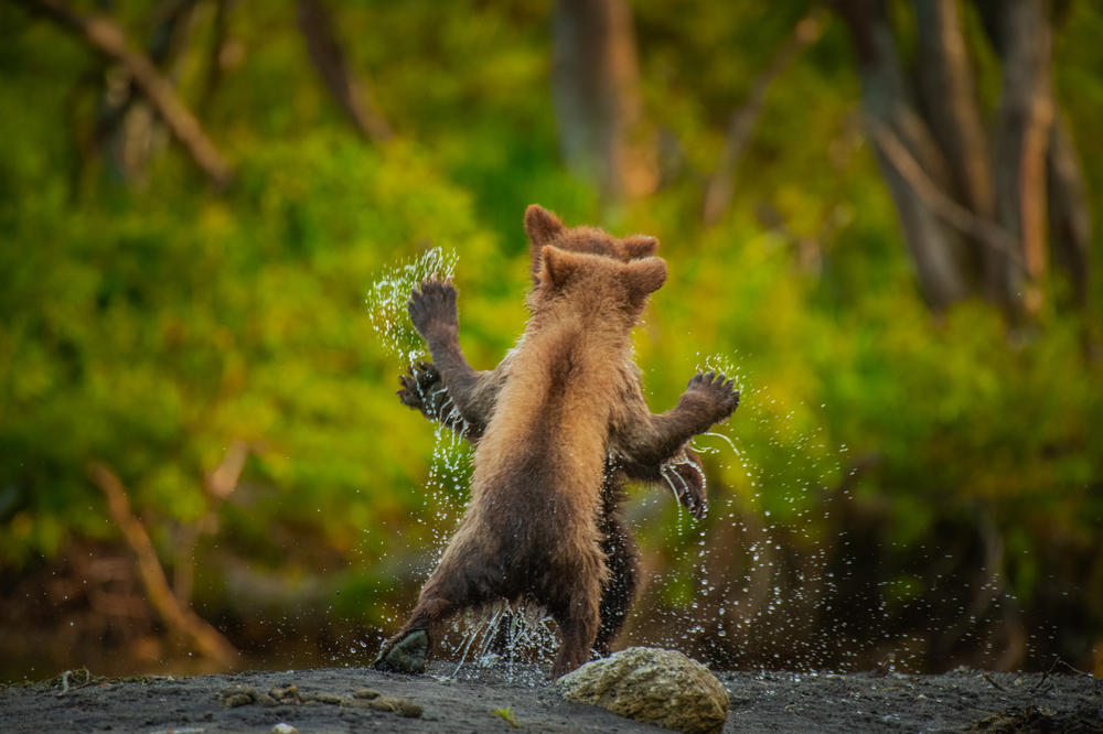 <em>Let's dance</em> (in far east Russia).