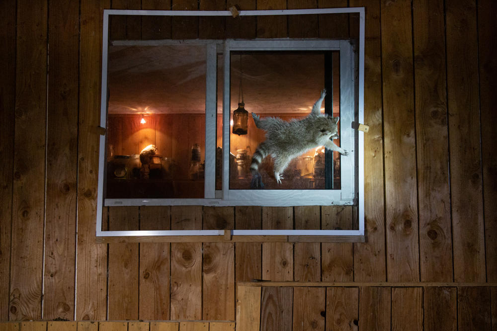 <em>How do you get that damn window open?</em> (in France).