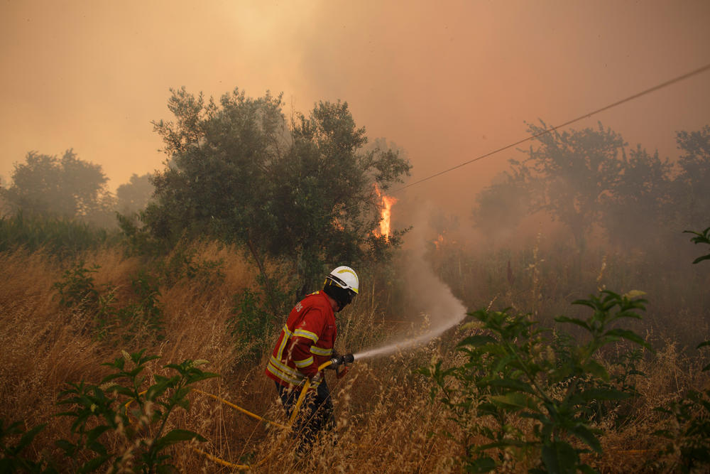 A firefighter battles a fire in Leiria district, in central Portugal. The forest went up in flames during a 2017 heatwave.