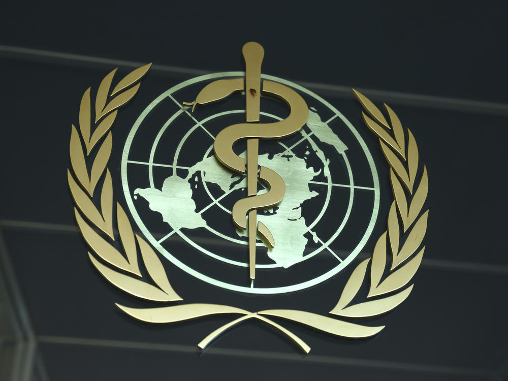 On November 29, the World Health Organization will convene a virtual summit for its member states to consider the handling of future outbreaks. Pictured above: WHO headquarters in Geneva, Switzerland.