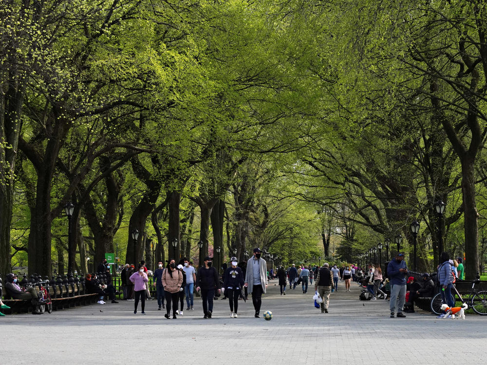 Premature greening in urban trees could have negative environmental and economic impacts, a new study has found.