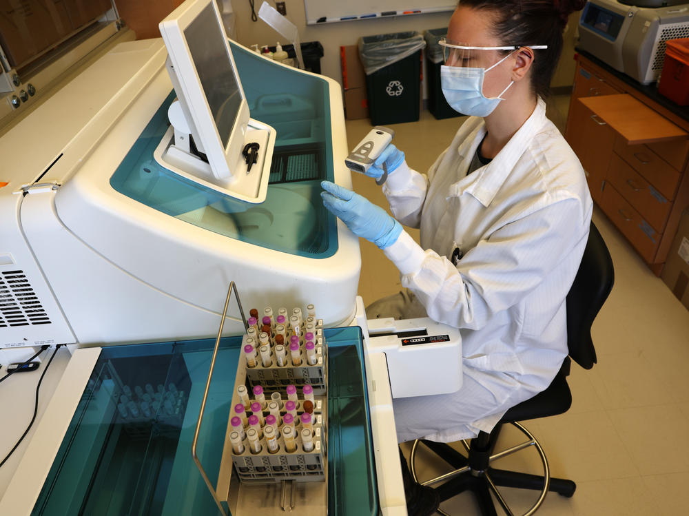 Medical laboratory scientist Aniela Sobel tests serology samples from the Novavax phase 3 COVID-19 vaccine clinical trial at the University of Washington Medicine Retrovirology Lab at Harborview Medical Center in February 2021.