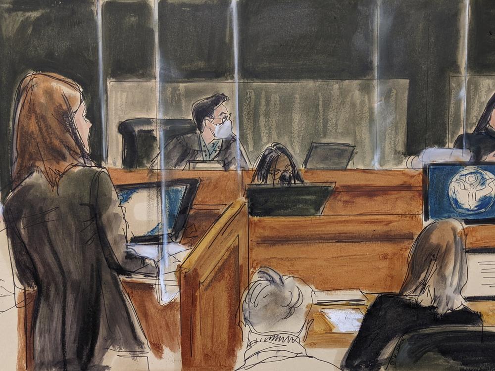 A courtroom sketch show assistant U.S. attorney Alison Moe questioning an unidentified victim about her experiences with Jeffery Epstein and Ghislaine Maxwell, during Maxwell's sex-trafficking trial.