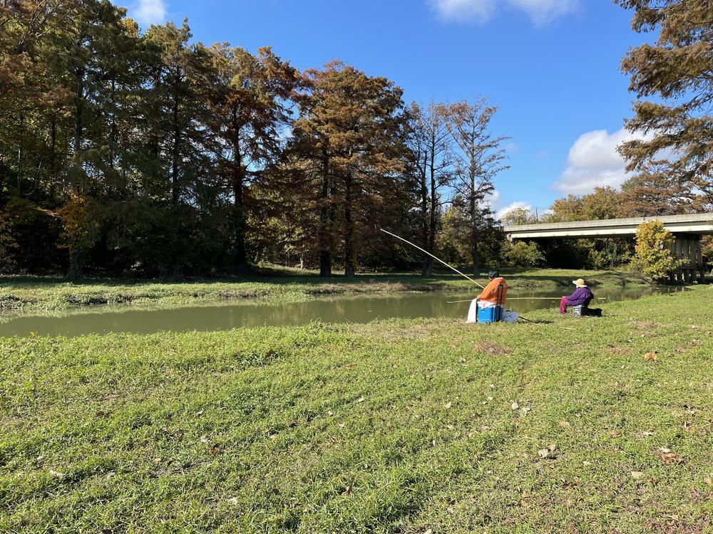 The mostly rural and agrarian Mississippi Delta has long struggled economically.