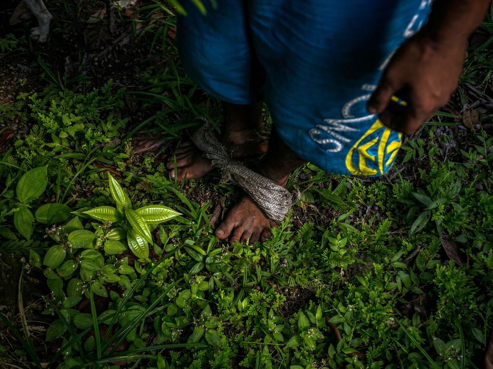 Detail of the fabric used on his feet by Marcos Antonio Costa, 27, to climb açaí palm trees to pick its berries in the rainforest near Melgaco, southwest of Marajo Island, state of Para, Brazil, on June 6, 2020.