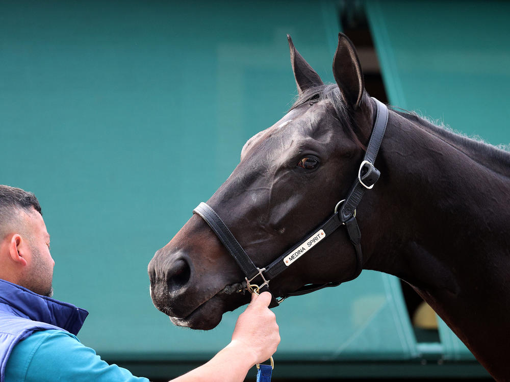 Kentucky Derby winner and Preakness entrant Medina Spirit is bathed ahead of the Preakness Stakes on May 12, 2021 in Baltimore, Maryland.