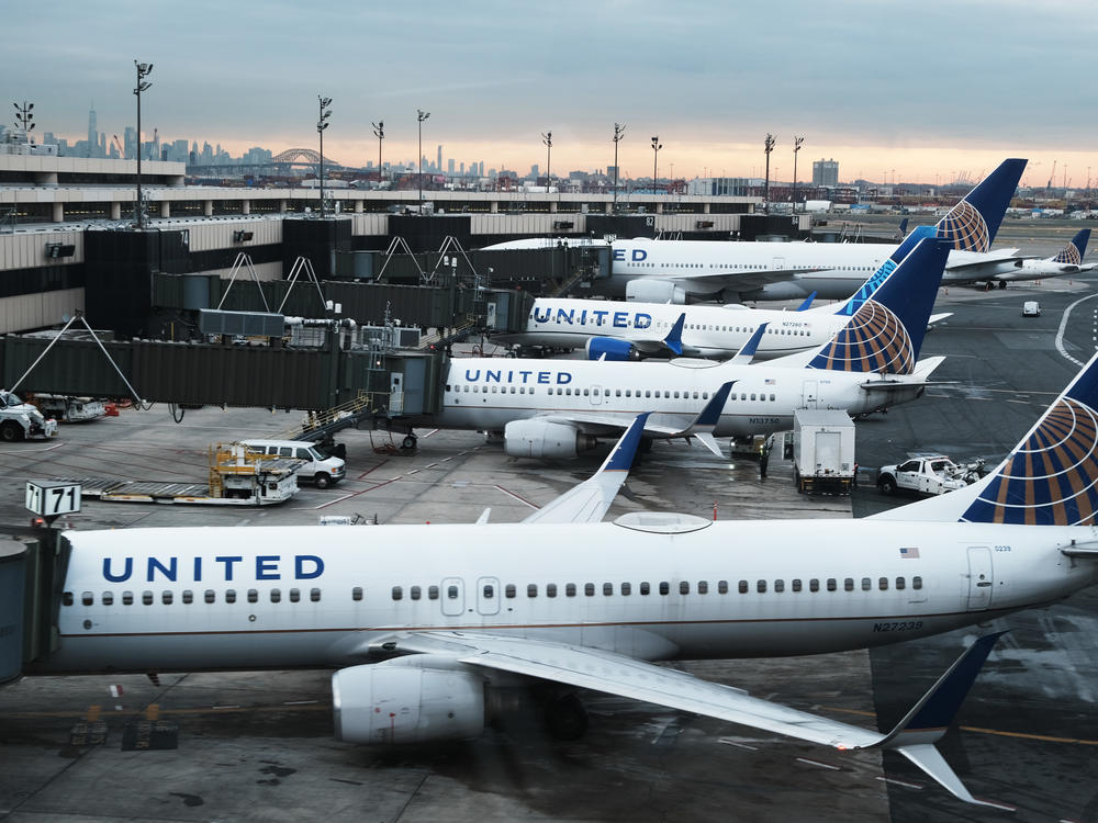 United Airlines planes sit at gates at Newark Liberty International Airport in New Jersey on Nov. 30. The United States, as well as a growing list of other countries, has restricted flights because of the detection of the omicron variant of the coronavirus.