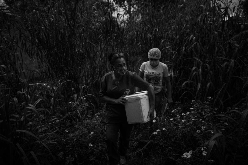 A health worker, carrying a cooler containing COVID-19 vaccine doses, traverses a green area in the rural community of São Sebastião da Serra Baixa, in Iranduba, Amazonas, Brazil, on April 15, 2021, in search of people who are not yet vaccinated.