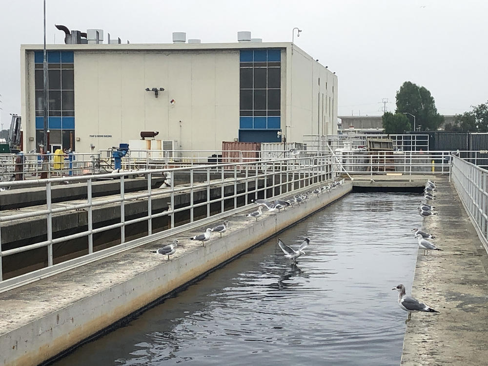 The wastewater facility in San Jose, Calif., processes sewage from about 1.4 million people and 22,000 businesses. The facility is part of a network of communities testing their wastewater for the omicron variant of the coronavirus.