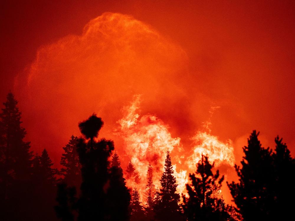 By the time it was contained, the Caldor fire had destroyed more than 1,000 structures, damaged 81, injured at least five people and forced some 50,000 people to evacuate from the Lake Tahoe area.
