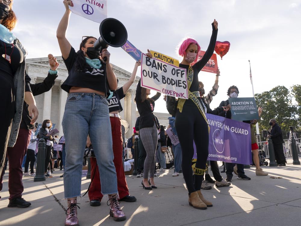Abortion-rights and anti-abortion activists rally outside the Supreme Court on Nov. 1, as arguments are set to begin about abortion by the court, on Capitol Hill in Washington. The court ruled on Friday that abortion providers can sue, but only against certain officials.