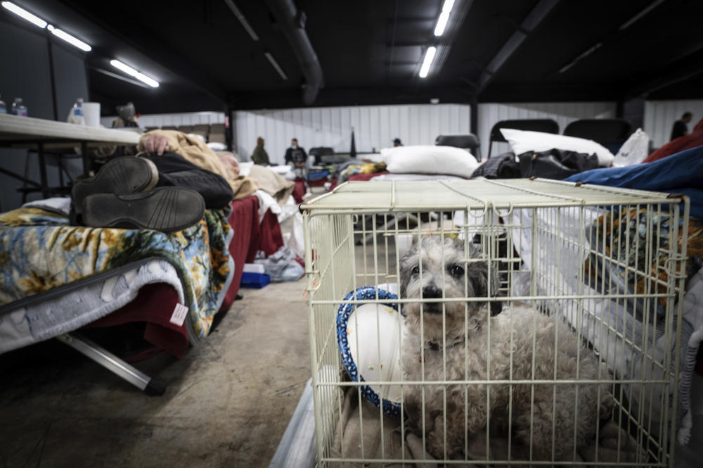 <strong>Sun., Dec. 12: </strong>A dog sits in a cage next to a sleeping man inside a shelter in Wingo, Ky.