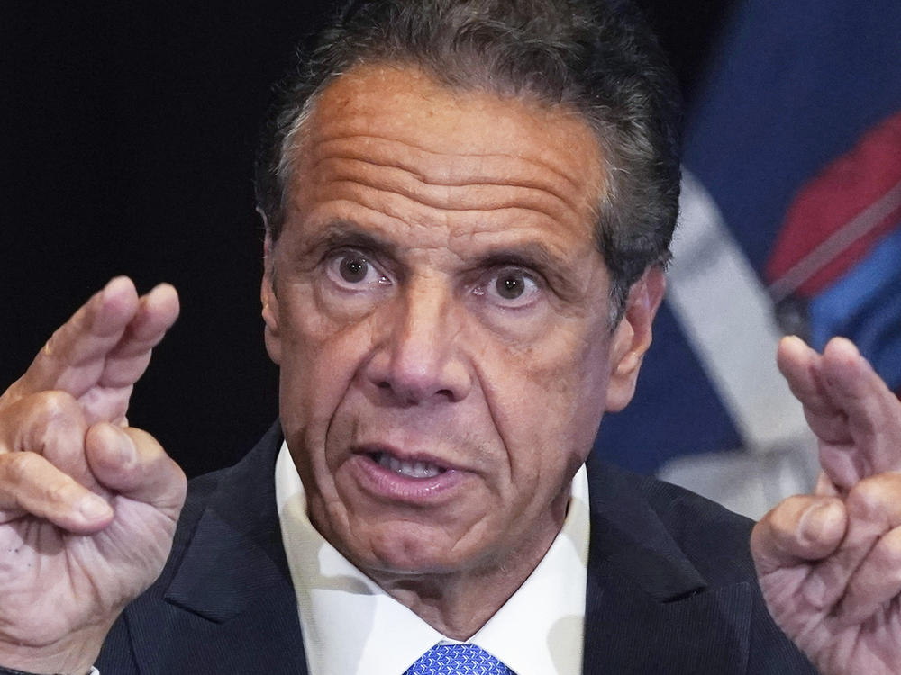 A lawyer for the former New York governor, Andrew Cuomo, says he will fight demands by the Joint Commission on Public Ethics to collect profits from <em>American Crisis: Leadership Lessons from the COVID-19 Pandemic.</em>