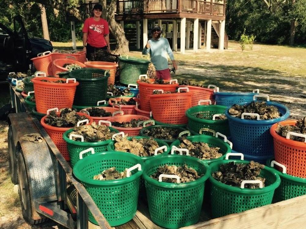Auburn University graduate students Rayne Palmer, left, and Conrad Horst with oysters collected in October to help restore Alabama's reefs. The oysters were grown at dozens of private docks along Little Lagoon.