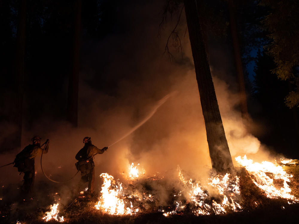 Fire crews manage a back fire in Sly Park, Calif., fighting the Caldor Fire on Aug. 23. <a href=