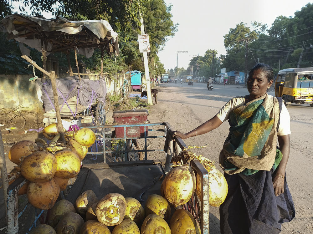 Panchavarnam rents a pushcart to sell coconuts. 