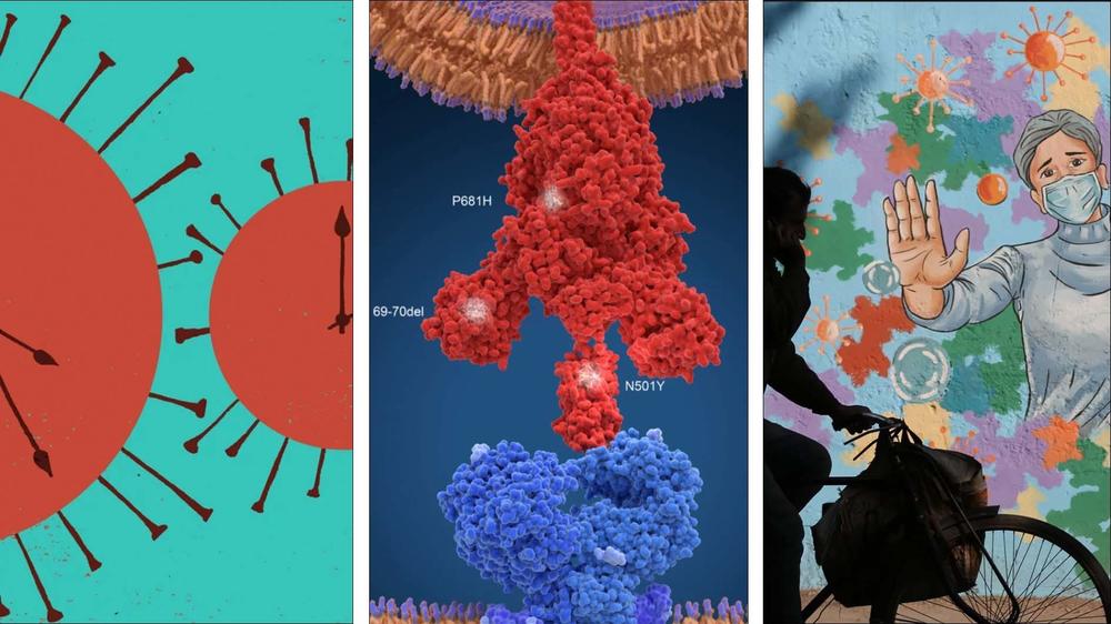 Left to right: An illustration of the coronavirus, an illustration of the delta variant and a mural in India.