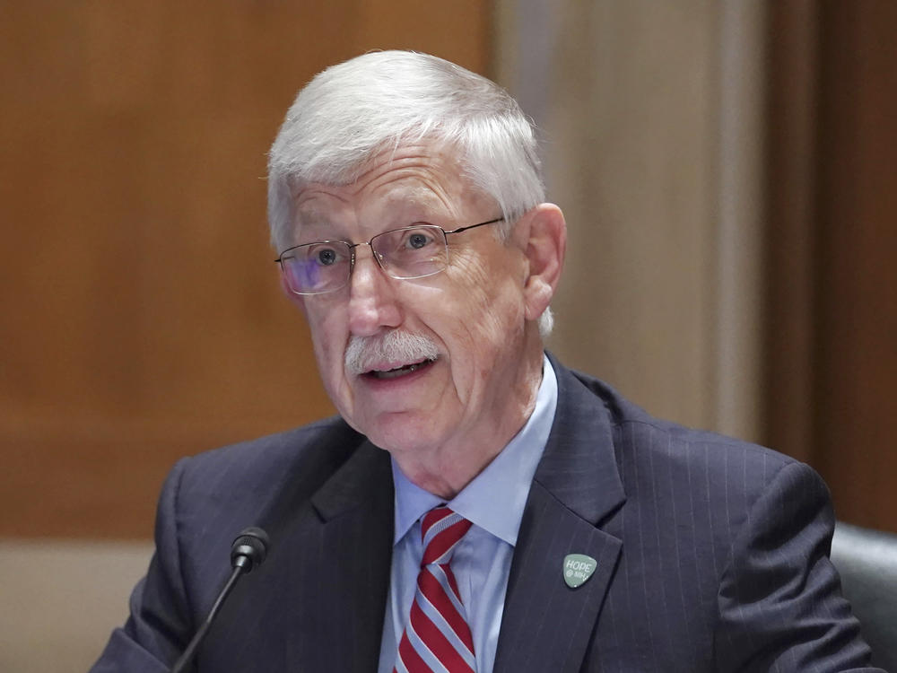 NIH Director Dr. Francis Collins, seen testifying before a Senate subcommittee in May, on Capitol Hill in Washington, D.C. Collins' last day on the job is Sunday.