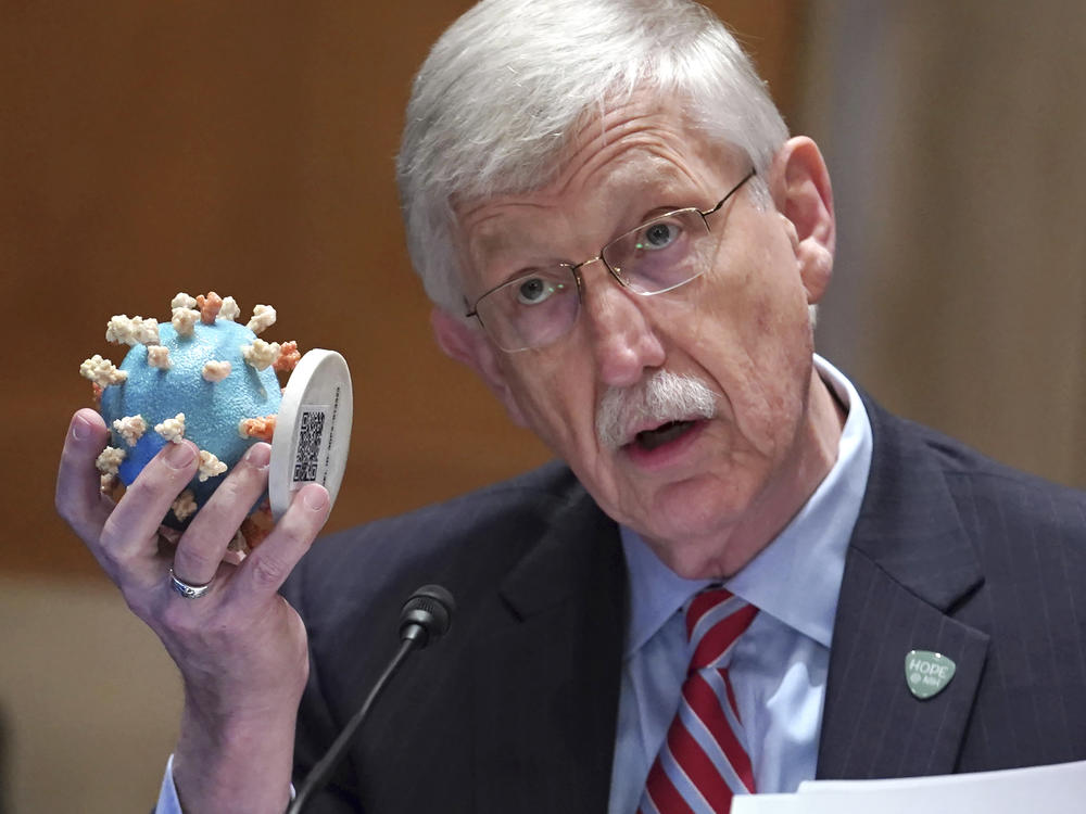 NIH Director Dr. Francis Collins holds up a model of the coronavirus as he testifies before the Senate in May. Collins is retiring as director of the NIH.