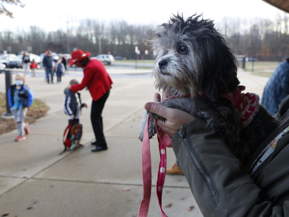 Trixie, a comfort dog, waits to greet students at the early elementary wing of the Paw Paw Elementary School in Paw Paw, Mich. Staff members, from teachers to kitchen staff and bus drivers, have received training in social-emotional support to help students, more of whom have struggled in the pandemic.