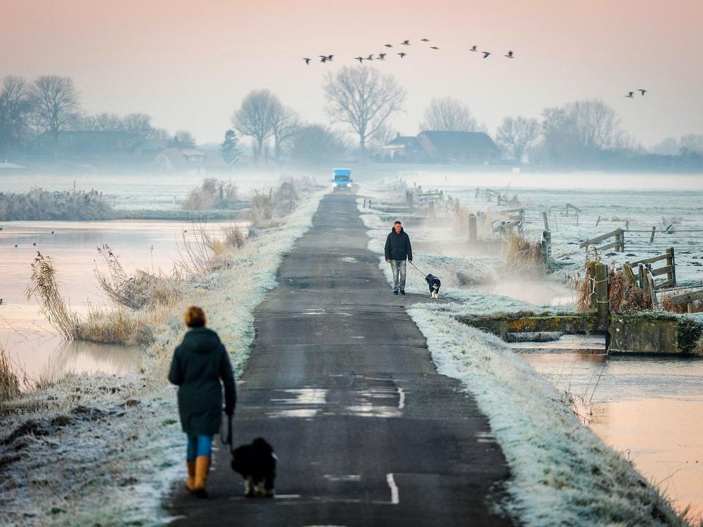 People walk their dogs along a narrow road as the first winter frost blankets the fields in Oudeland van Strijen in the Netherlands on Tuesday. It's the shortest day of the year and official start of winter.