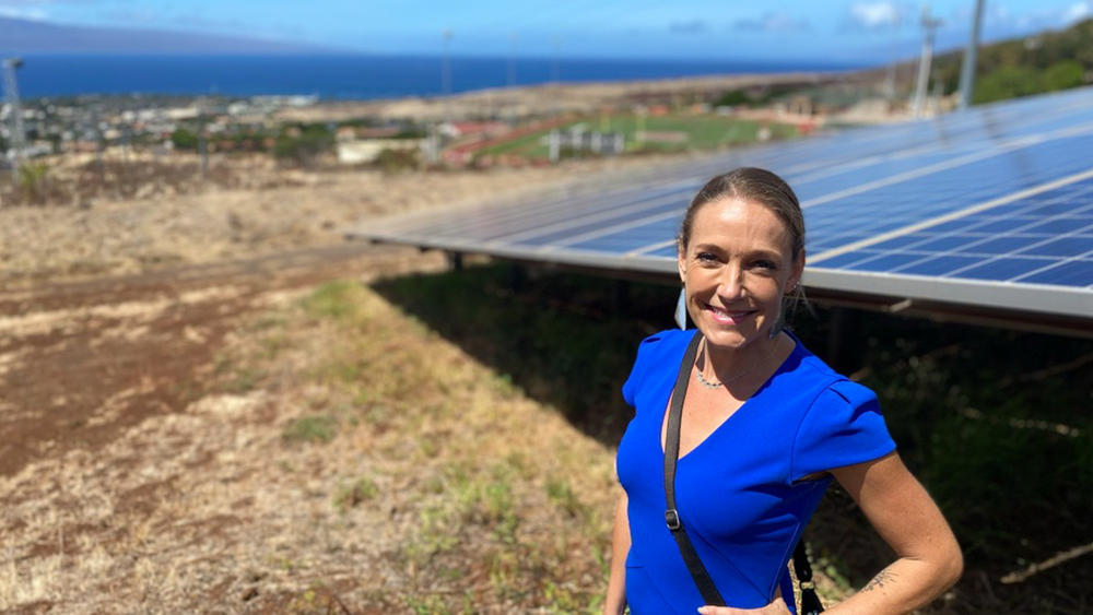 Jennifer Potter is a commissioner on Hawaii's Public Utility Commission. She and her colleagues are retooling more than a hundred years of regulatory precedent to get Hawaii's monopoly utility to 100% renewable electricity.