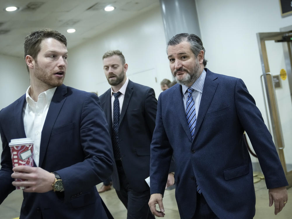 Texas Republican Sen. Ted Cruz, pictured on Capitol Hill Wednesday, said of the attack on the Capitol last year, 