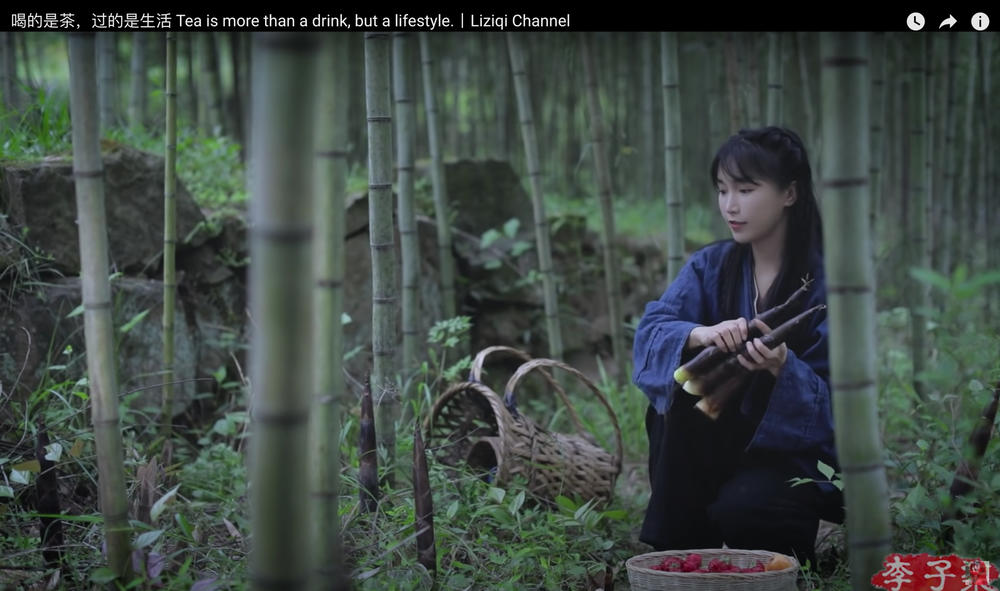 A screenshot from a video posted on Li Ziqi's account on Douyin, the original Chinese version of TikTok. In this clip, Li picks cucumbers from a serene garden to chop up into a salad.