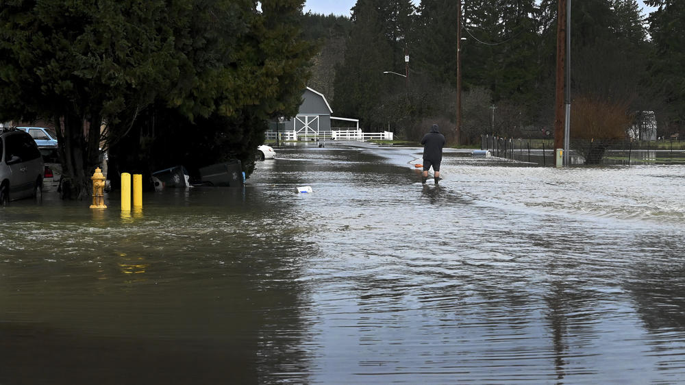 A man wades through rising water from the nearby Skookumchuck River to take a photo in the town of Bucoda, Wash., Friday, as area rivers and snow runoff begin to accelerate flooding in the south sound.