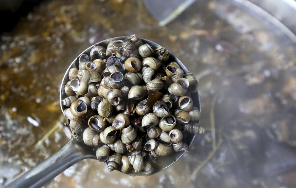 Workers at a food factory in Liuzhou use river snails to make the broth for snail noodles.