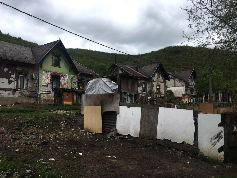 The translators grew up in Ozd, a town in the northern hills of Hungary that has a sizable Roma population. The Roma neighborhood there is impoverished.