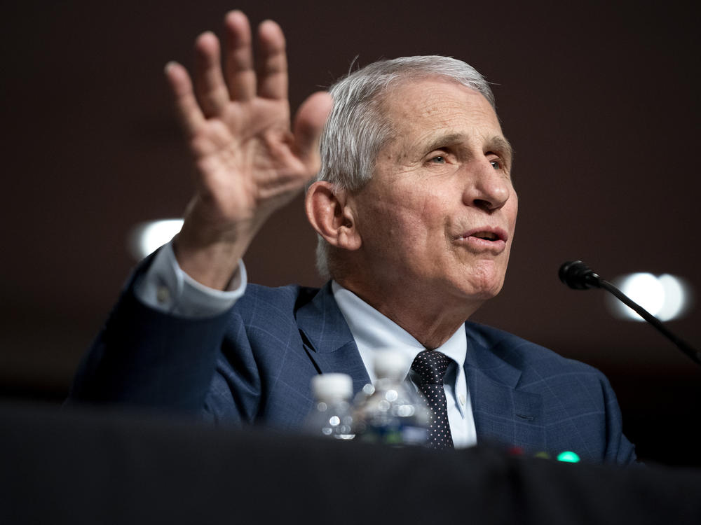 Dr. Anthony Fauci, White House chief medical adviser and director of the NIAID, testifies at a Senate Health, Education, Labor, and Pensions Committee hearing on Capitol Hill last week.