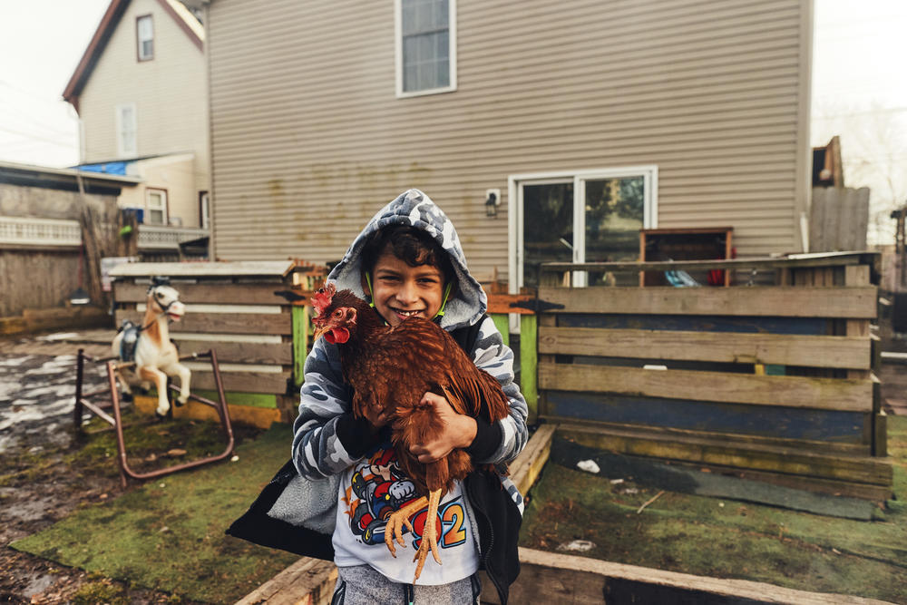 A boy holds a chicken at Ngoh's at-home day care.