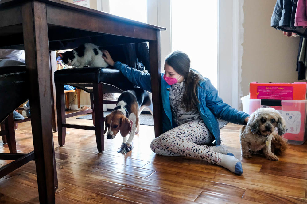 Avah plays with her pets after school.