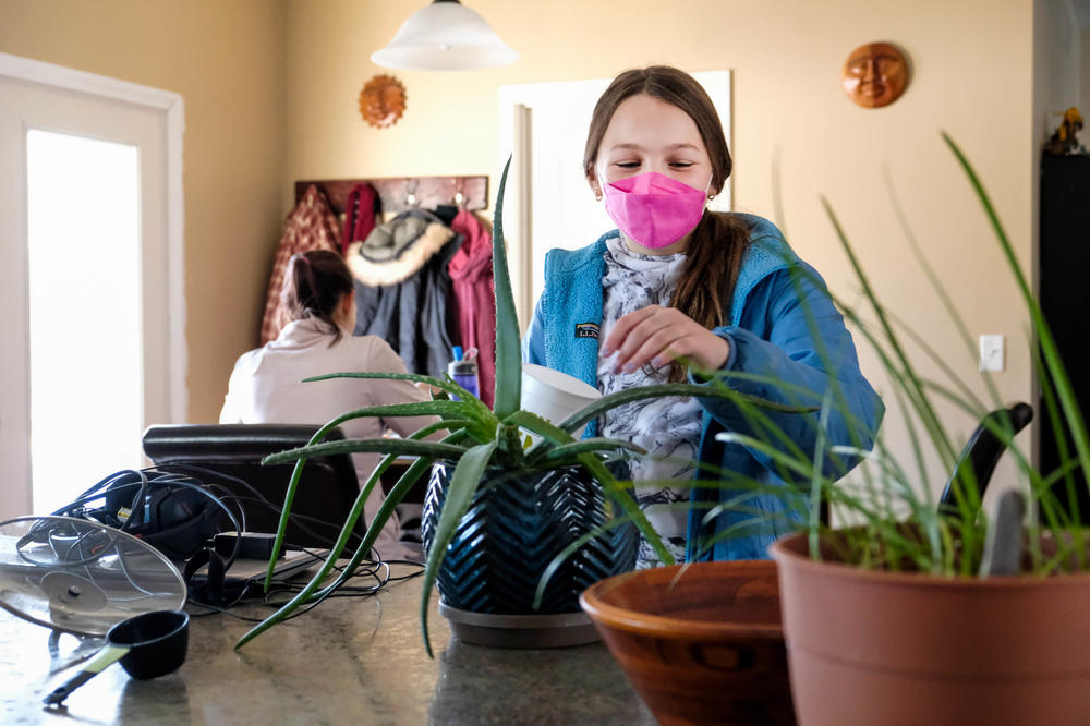Avah waters her plants when she comes home from school.